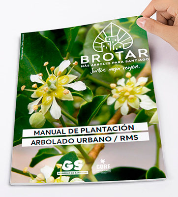VAAR Manual Arbolado Brotar
