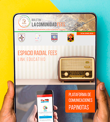 FEES Boletines digitales e impresos