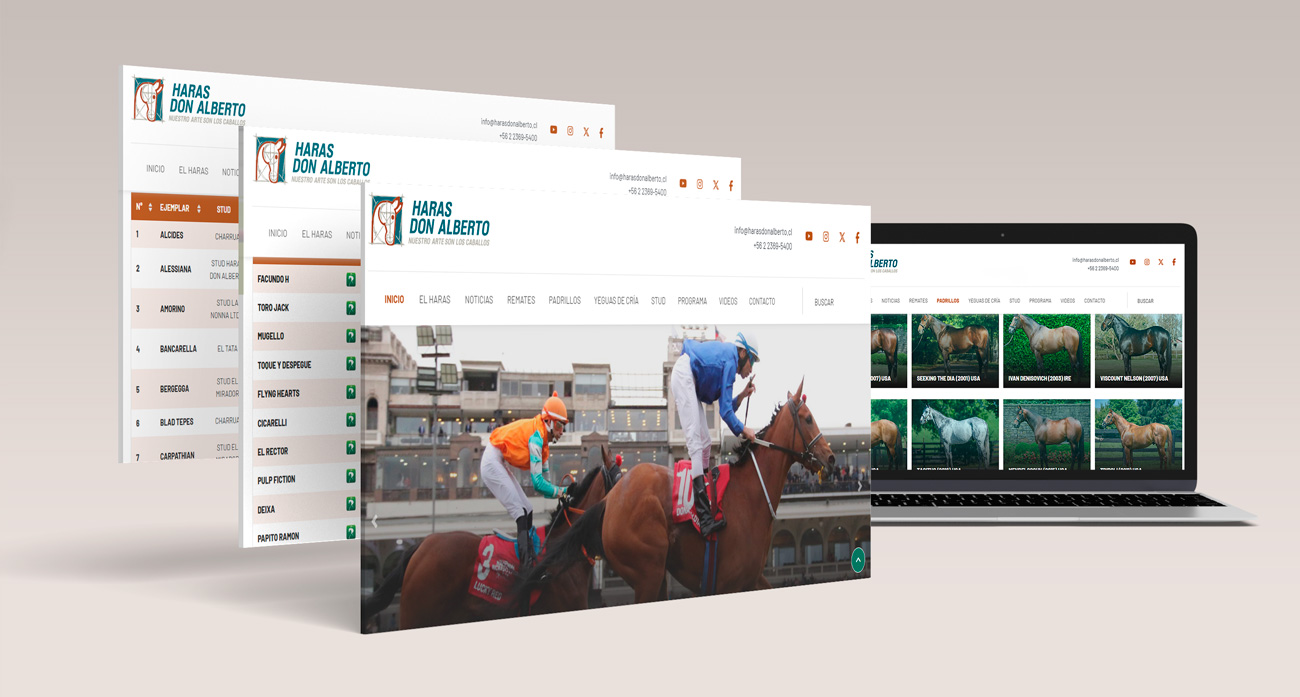 HARAS DON ALBERTO