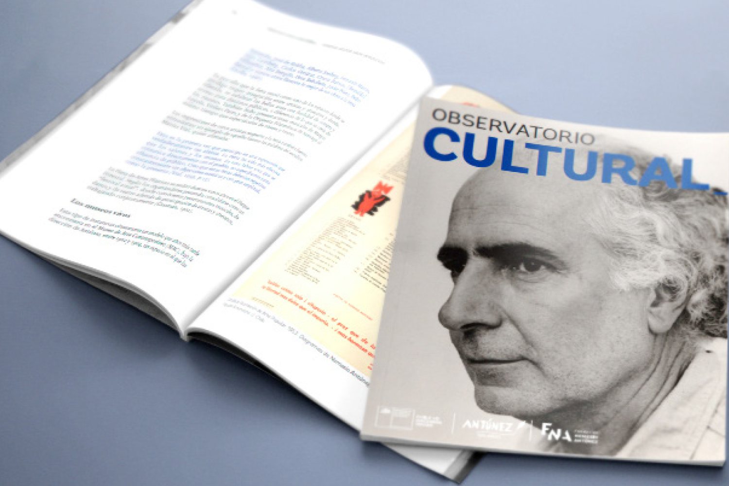 CNCA Observatorio Cultural
