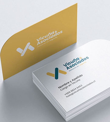 VICUÑA & ASOCIADOSImagen corporativa
