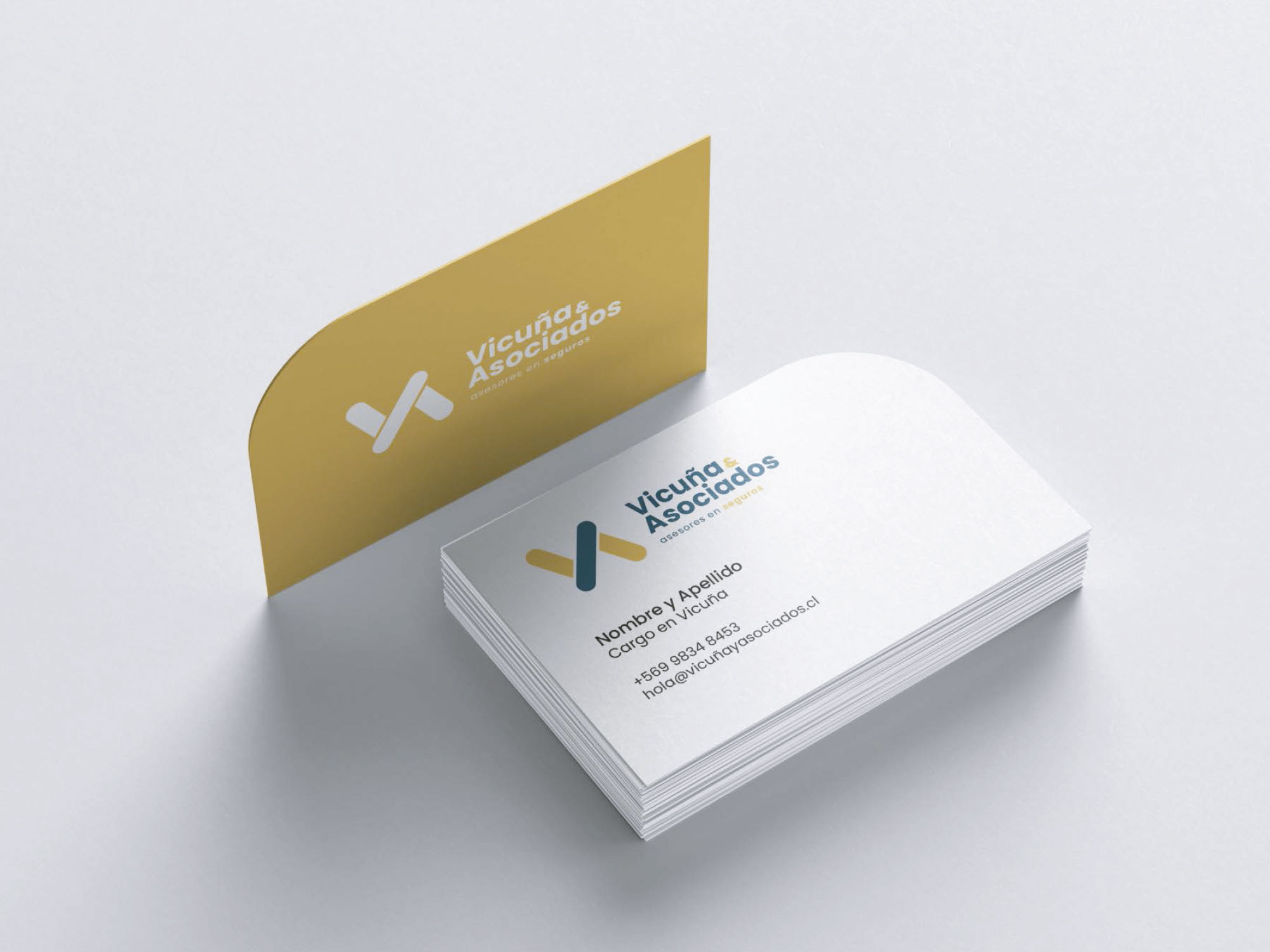 VICUÑA & ASOCIADOSImagen corporativa
