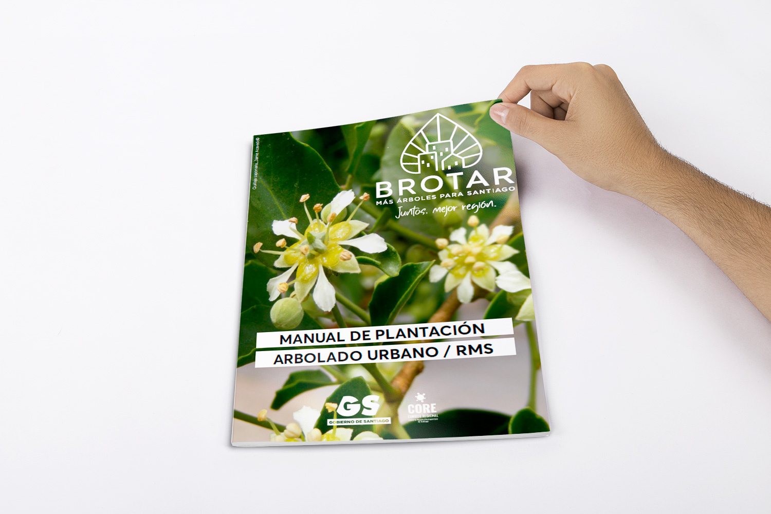 VAAR Manual Arbolado Brotar