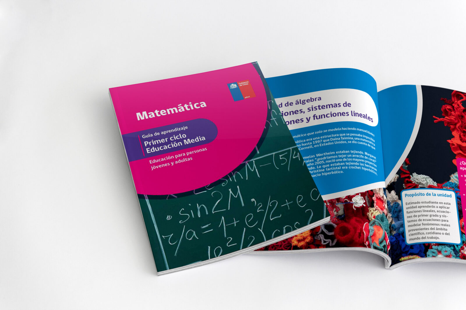 Documentos Educación de Personas Jóvenes y Adultas MINEDUC